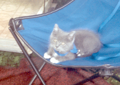 Bob on vacation in Pennsylvania when he was only six-weeks old